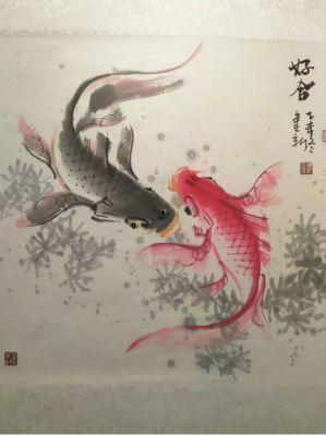 鱼师鱼图片,神秘水族中的隐士传奇